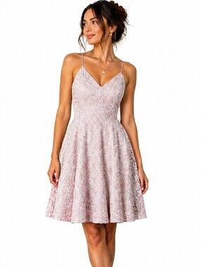 Gianni Bini Kimberly Knit Dress Blush Lace Romantic Fit & Flare Bridal Chic 10